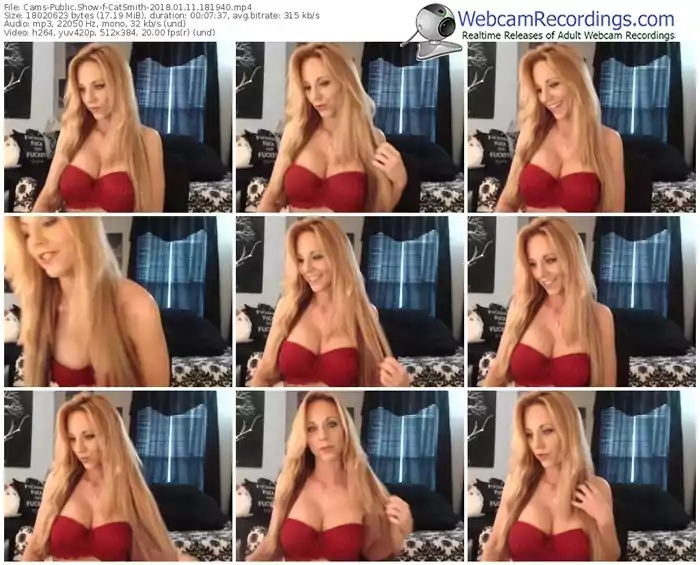 cams-catsmith-webcam-show-01_11_2018-18_19_40