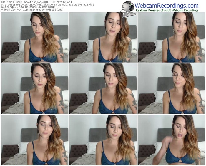 cams-nat_cat-webcam-show-01_11_2018-20_29_42