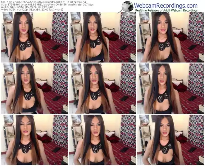 cams-seductivejerratsts-webcam-show-01_11_2018-01_24_23