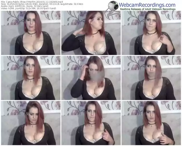 cams-merllin-webcam-show-01_12_2018-19_20_09