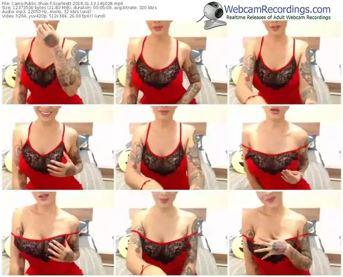 cams-scarleett-webcam-show-01_13_2018-14_00_28