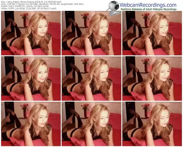 cams-amia-webcam-show-01_14_2018-06_25_46