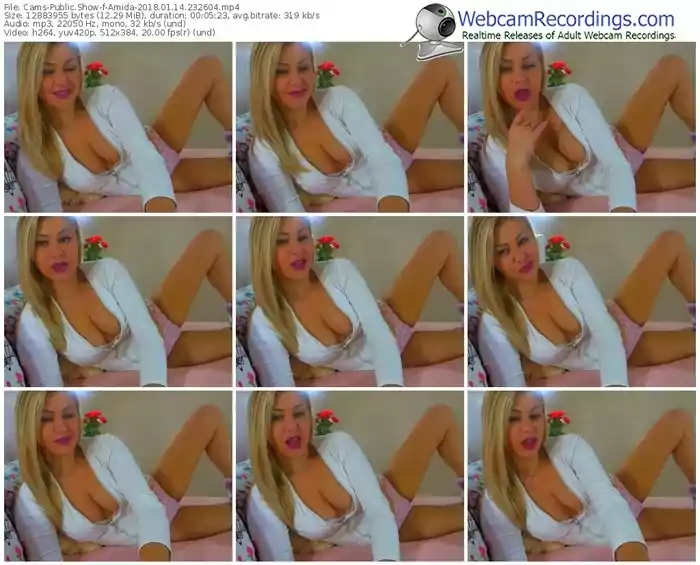 cams-amida-webcam-show-01_14_2018-23_26_04