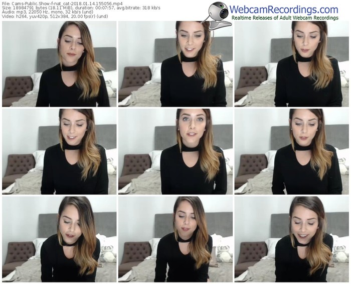 cams-nat_cat-webcam-show-01_14_2018-15_50_56