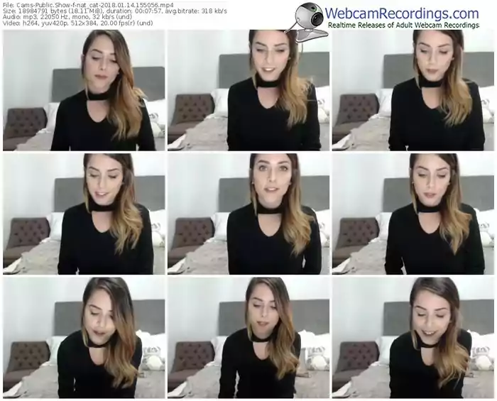 cams-nat_cat-webcam-show-01_14_2018-15_50_56