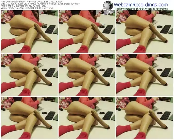 cams-mimosa1-webcam-show-01_15_2018-10_11_16