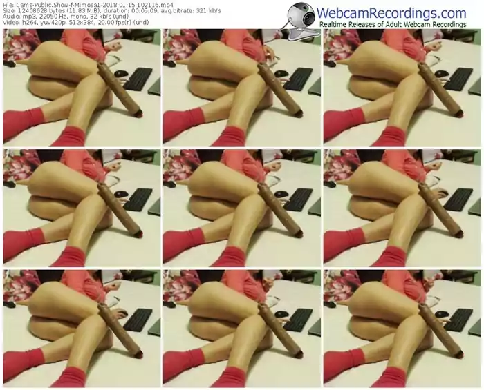 cams-mimosa1-webcam-show-01_15_2018-10_21_16