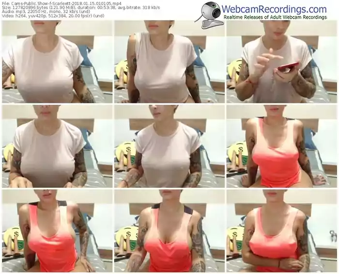 cams-scarleett-webcam-show-01_15_2018-01_01_05