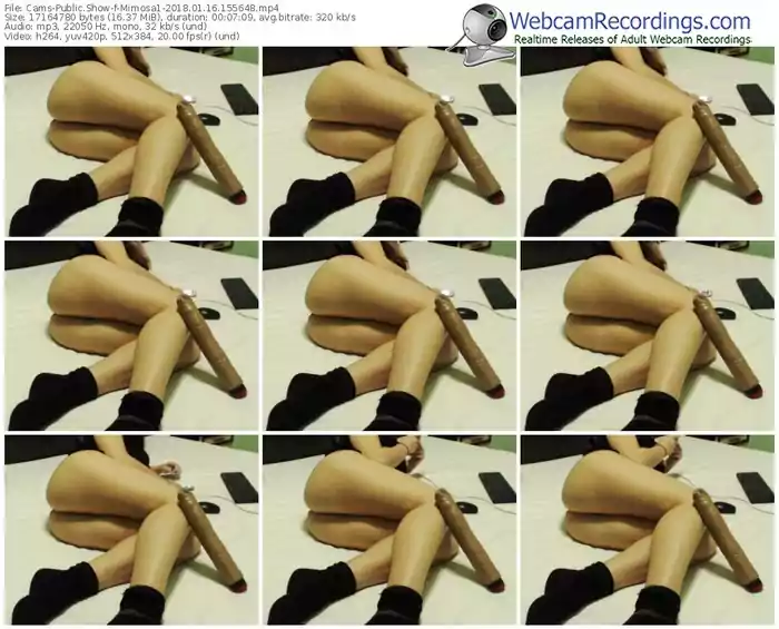 cams-mimosa1-webcam-show-01_16_2018-15_56_48