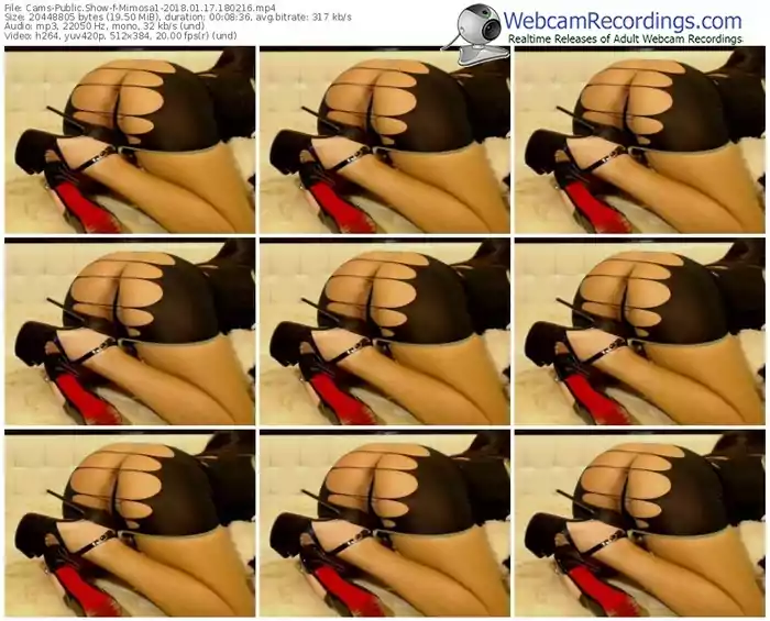 cams-mimosa1-webcam-show-01_17_2018-18_02_16