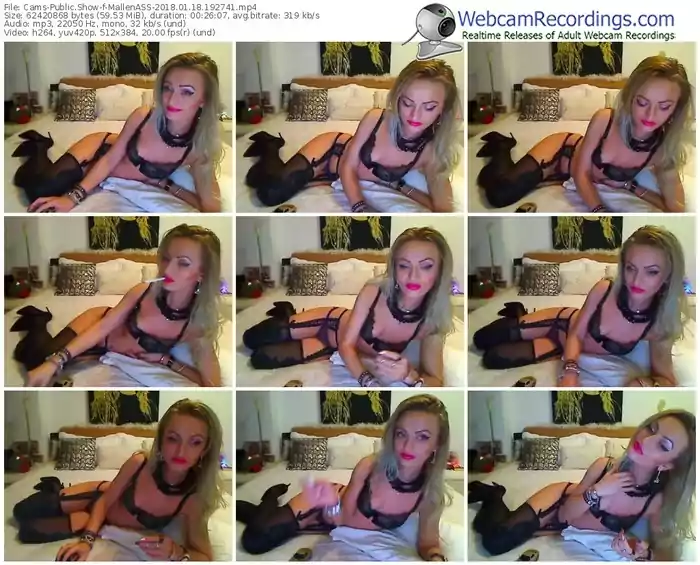 cams-mallenass-webcam-show-01_18_2018-19_27_41