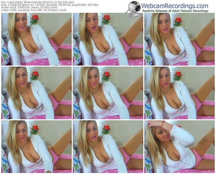 cams-amida-webcam-show-01_22_2018-21_14_30