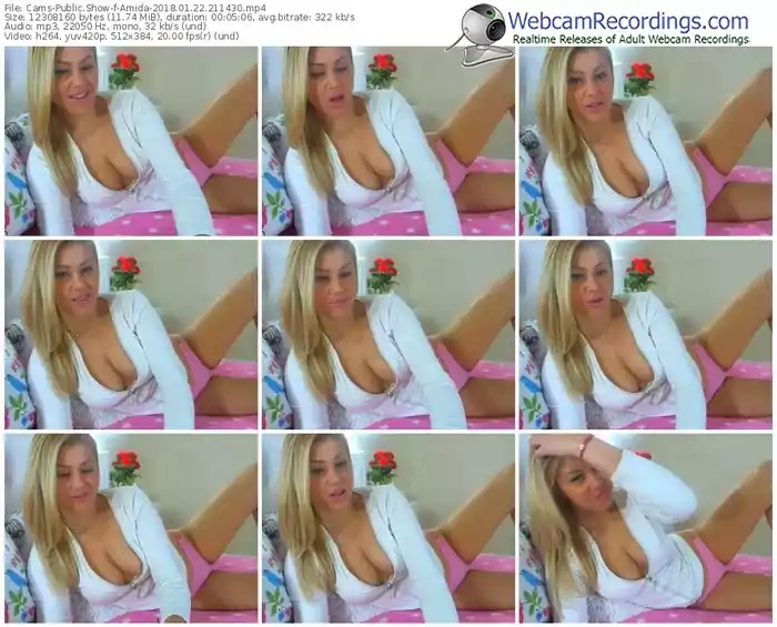 cams-amida-webcam-show-01_22_2018-21_14_30