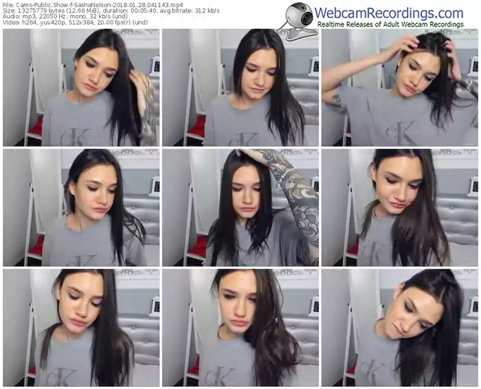 cams-sashanelson-webcam-show-01_28_2018-04_11_43