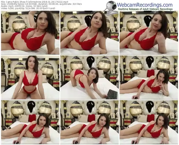 cams-celinneanne-webcam-show-01_29_2018-17_42_22