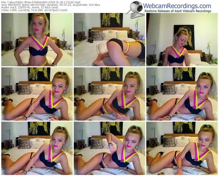 cams-mallenass-webcam-show-01_29_2018-17_22_22