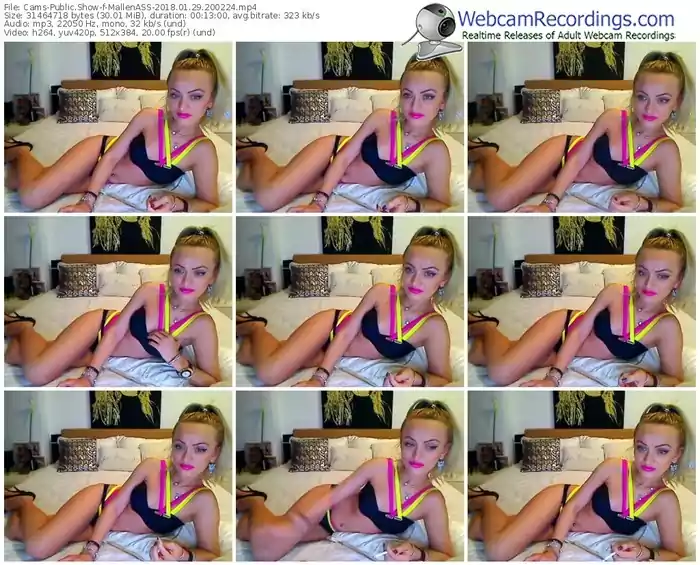 cams-mallenass-webcam-show-01_29_2018-20_02_24