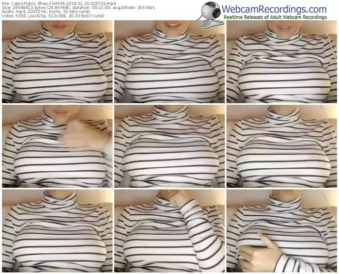 cams-hayfa-webcam-show-01_30_2018-02_57_32