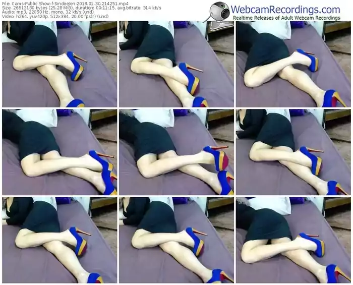 cams-sindeejen-webcam-show-01_30_2018-21_42_51