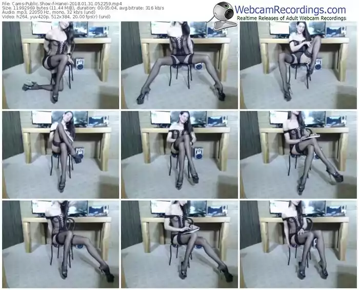 cams-hanei-webcam-show-01_31_2018-05_22_59