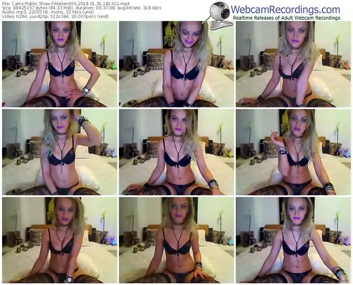 cams-mallenass-webcam-show-01_31_2018-18_13_12