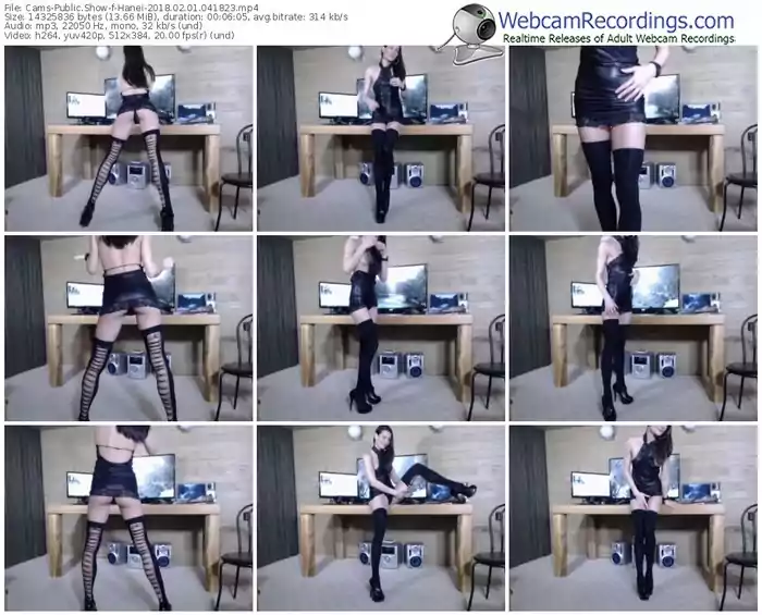 cams-hanei-webcam-show-02_01_2018-04_18_23