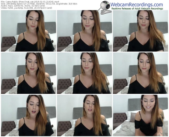 cams-nat_cat-webcam-show-02_01_2018-21_43_41