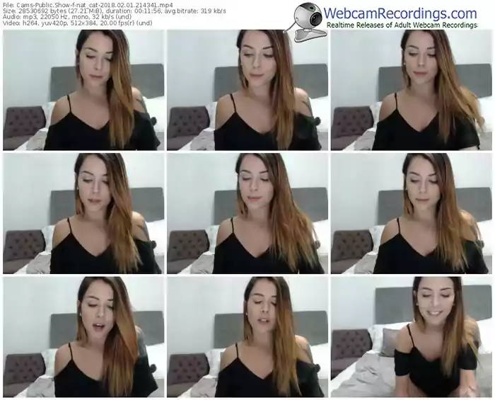 cams-nat_cat-webcam-show-02_01_2018-21_43_41