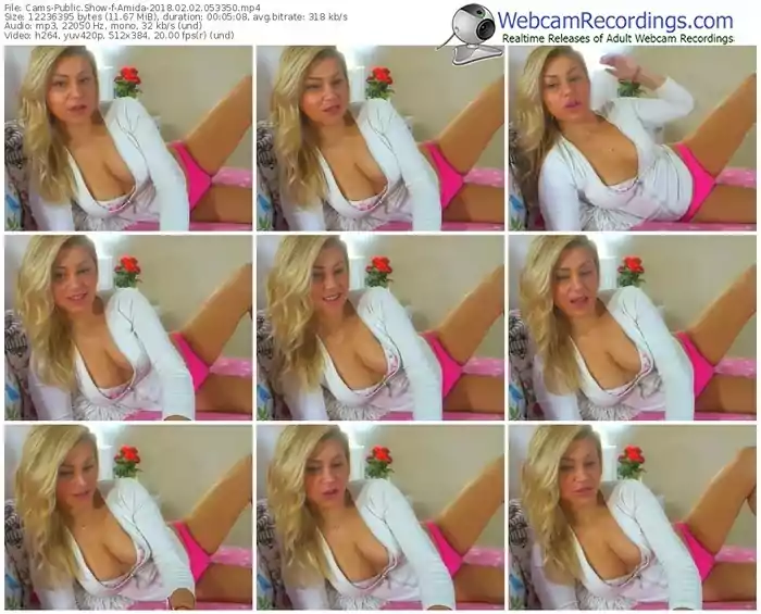 cams-amida-webcam-show-02_02_2018-05_33_50