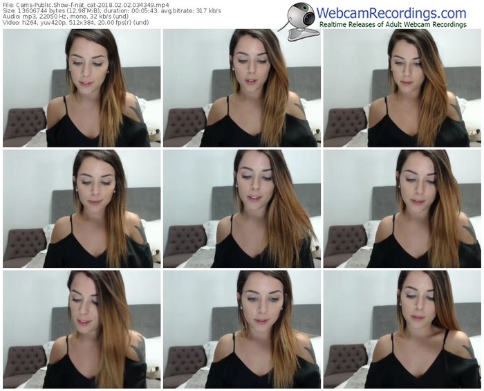 cams-nat_cat-webcam-show-02_02_2018-03_43_49