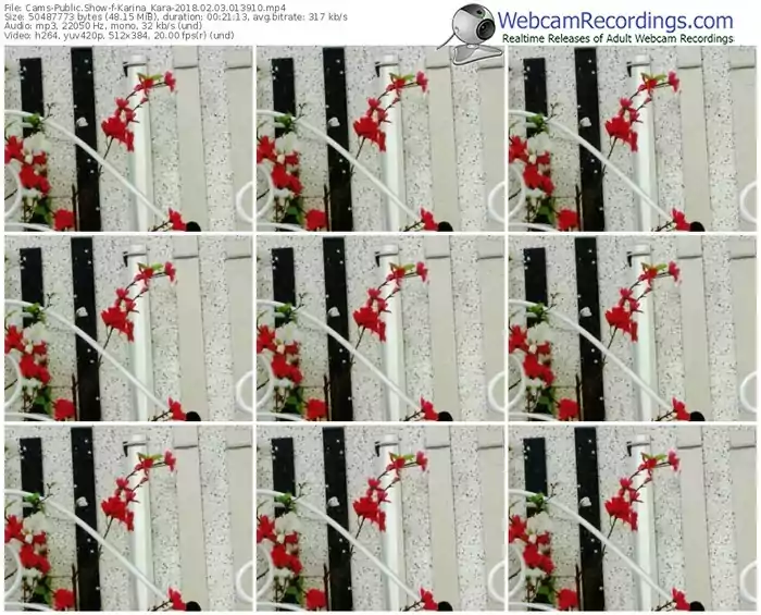 cams-karina_kara-webcam-show-02_03_2018-01_39_10