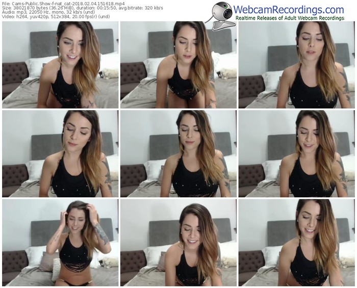 cams-nat_cat-webcam-show-02_04_2018-15_16_18