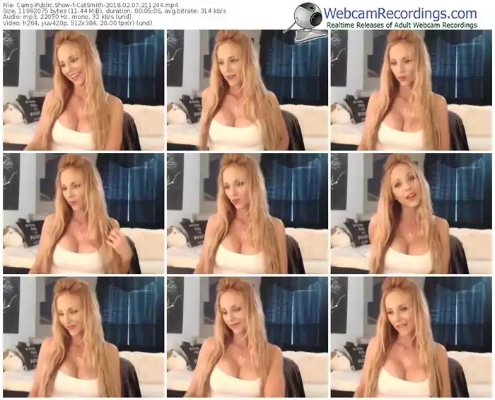cams-catsmith-webcam-show-02_07_2018-21_12_44