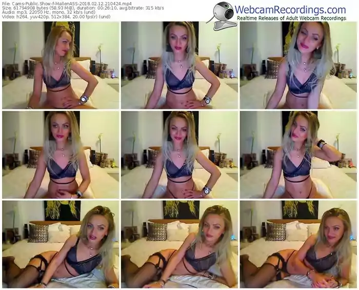 cams-mallenass-webcam-show-02_12_2018-21_04_24