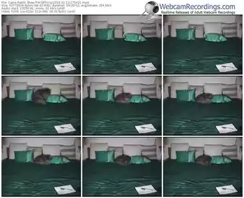 cams-wildthing-webcam-show-02_12_2018-17_54_21