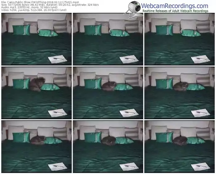 cams-wildthing-webcam-show-02_12_2018-17_54_21