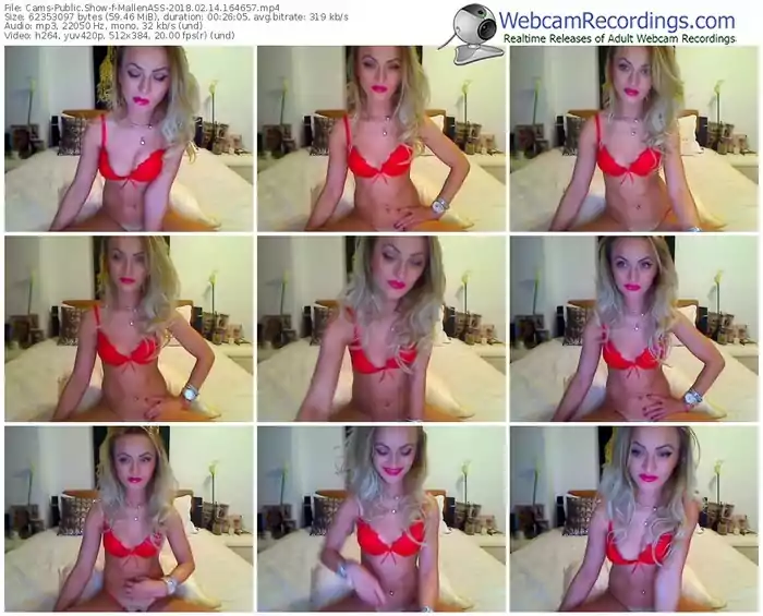 cams-mallenass-webcam-show-02_14_2018-16_46_57