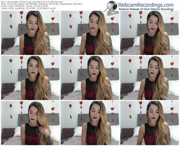 cams-nat_cat-webcam-show-02_14_2018-19_51_59