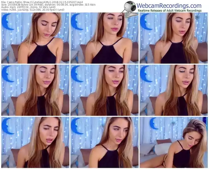 cams-cutesexykitty1-webcam-show-02_15_2018-03_52_07