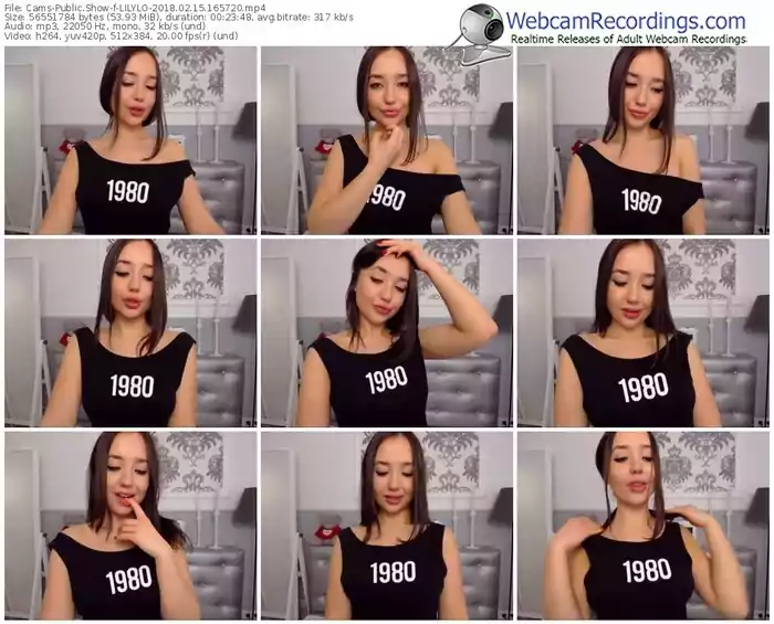 cams-lilylo-webcam-show-02_15_2018-16_57_20