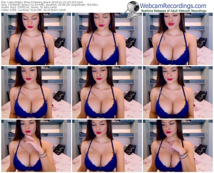 cams-pamela_black-webcam-show-02_15_2018-22_12_25