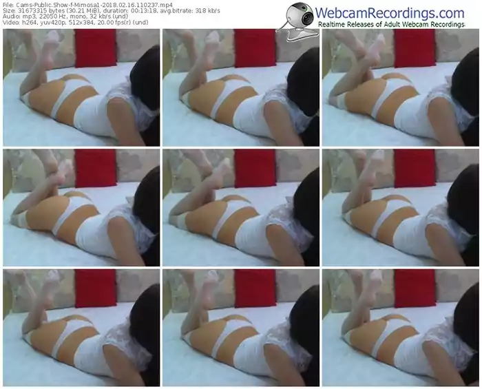 cams-mimosa1-webcam-show-02_16_2018-11_02_37