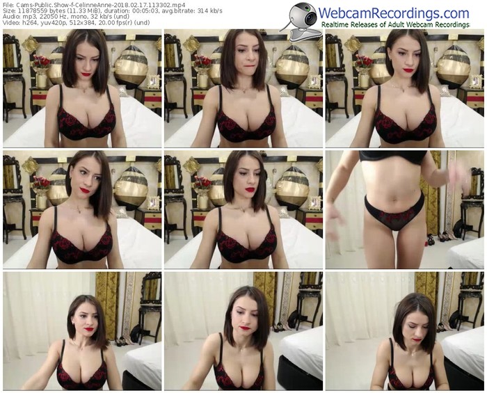 cams-celinneanne-webcam-show-02_17_2018-11_33_02