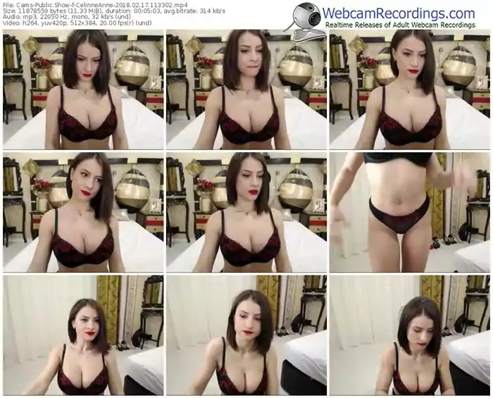 cams-celinneanne-webcam-show-02_17_2018-11_33_02