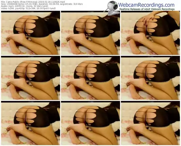 cams-mimosa1-webcam-show-02_18_2018-11_08_26