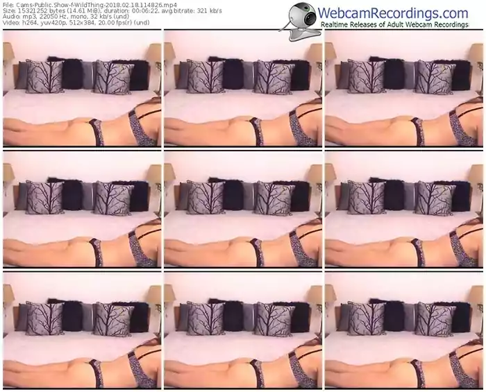 cams-wildthing-webcam-show-02_18_2018-11_48_26