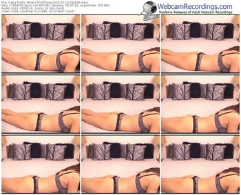 cams-wildthing-webcam-show-02_19_2018-06_48_45