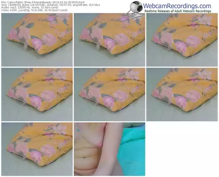 cams-rowanbeauty-webcam-show-02_20_2018-05_39_29