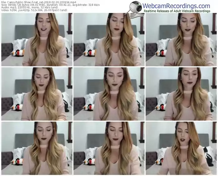 cams-nat_cat-webcam-show-02_20_2018-20_39_34