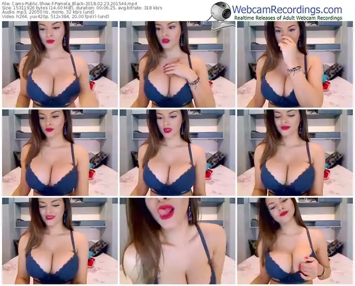 cams-pamela_black-webcam-show-02_23_2018-20_15_44